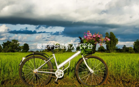 十大悬赏任务平台，悬赏平台最新人气平台是那些